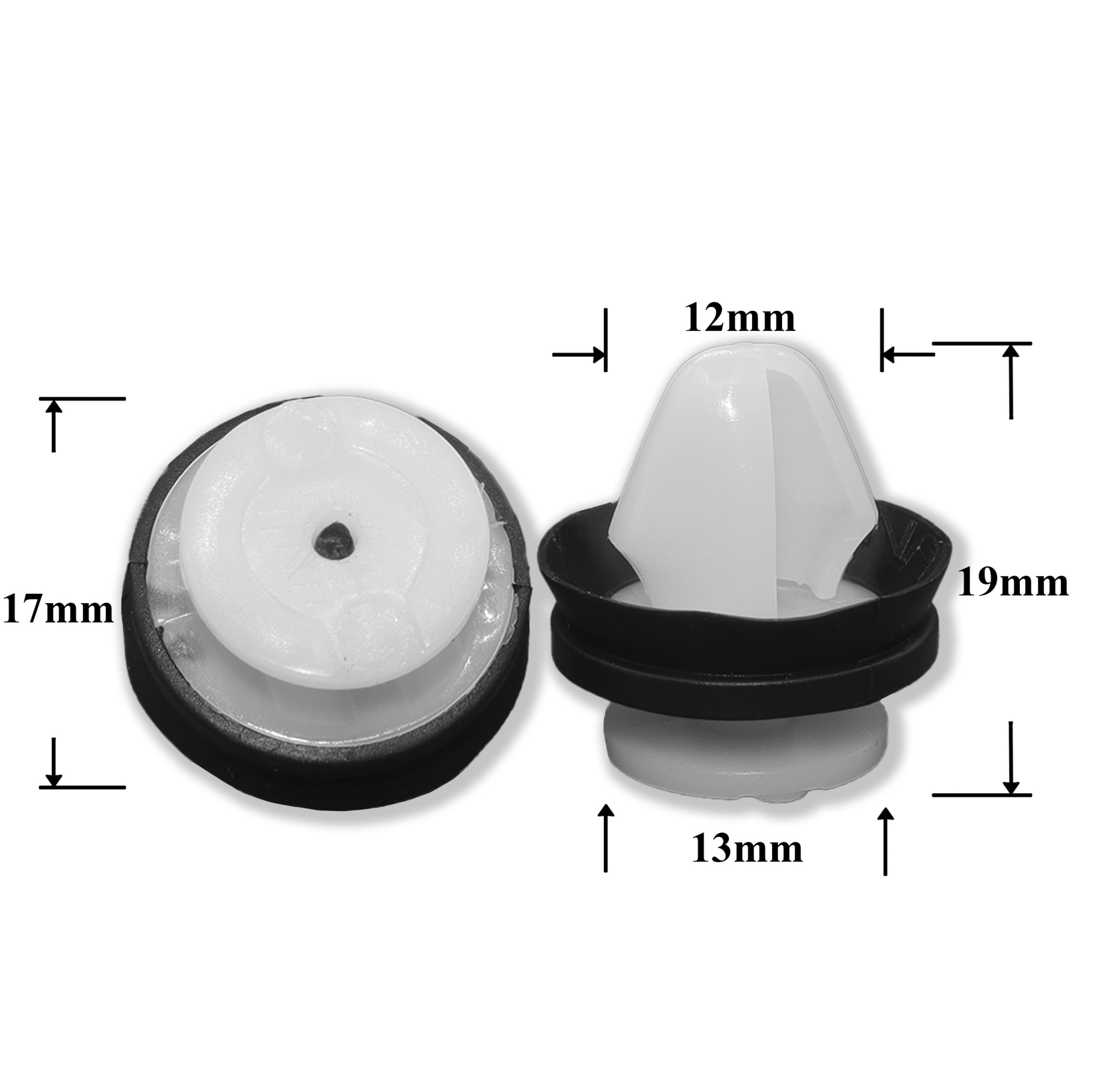 RP1081