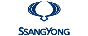 SSANG YONG